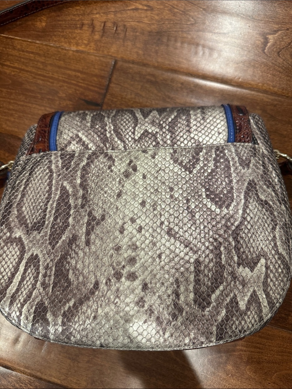Brahmin Brown & Cream Snake-Print Crossbody with Blue Trim - Picture 2 of 3